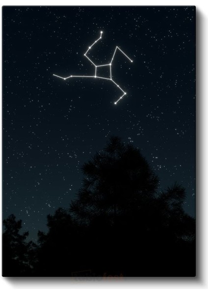 Yıldız Haritası - Gece Gökyüzünde Parlayan Takımyıldız Kanvas Tablo fiyatları