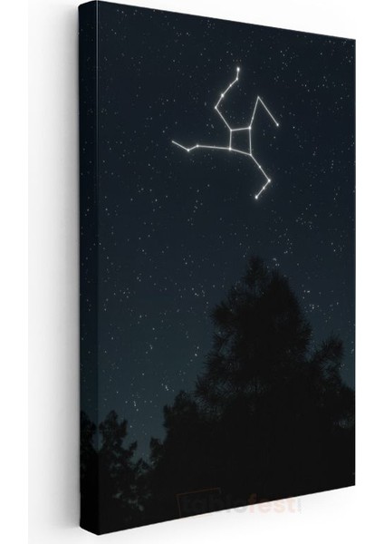 Yıldız Haritası - Gece Gökyüzünde Parlayan Takımyıldız Kanvas Tablo modelleri