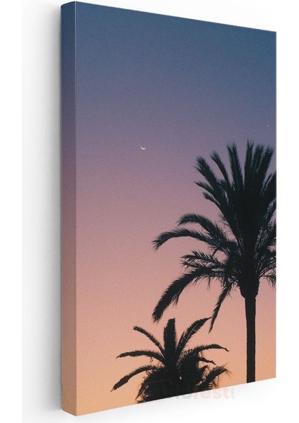 Tropikal Gün Batımı - Palmiye Silüetleri ve Alacakaranlık Gökyüzü Kanvas Tablo modelleri