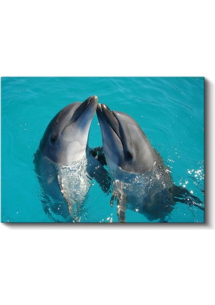 Sevgi Dolu Yunuslar - Turkuaz Suda Buluşma Anı Kanvas Tablo fiyatları