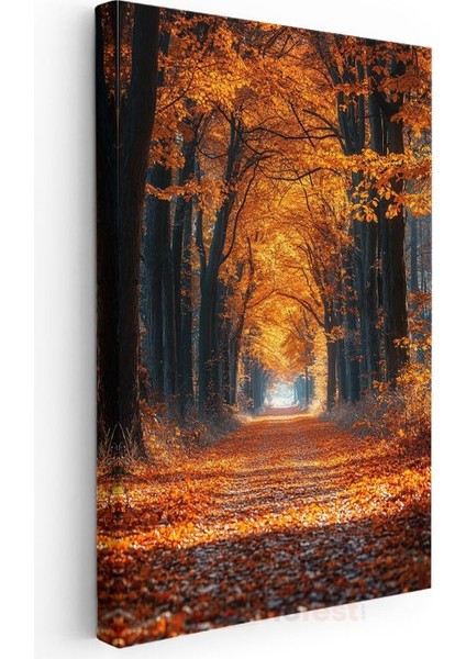 Sonbahar Patikası - Altın Sarısı Yapraklarla Kaplı Orman Yolu Kanvas Tablo modelleri
