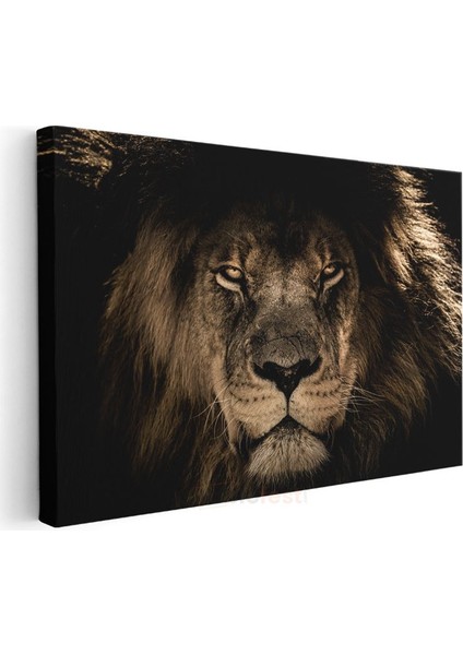 Aslan Yüzü - Karanlıkta Parlayan Gözlü Ormanlar Kralı Kanvas Tablo modelleri