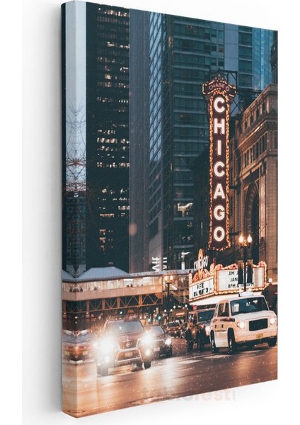 Chicago Tiyatrosu - Gece Işıltısı Kanvas Tablo modelleri