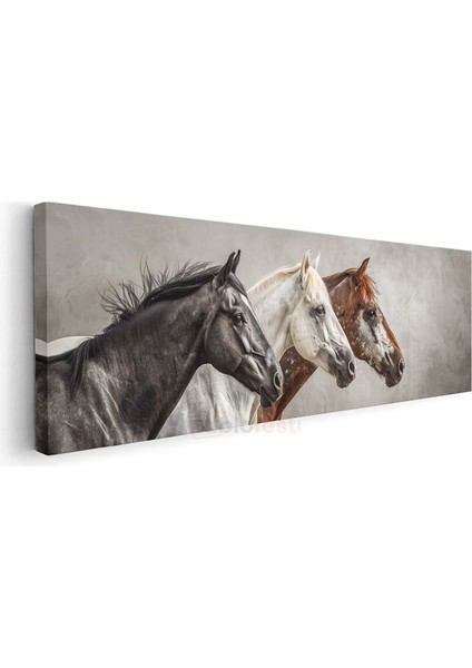 Üç Soylu - Yan Yana Duran Farklı Atlar Kanvas Tablo modelleri