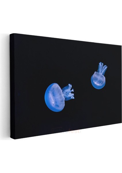 Mavi Denizanaları - Derin Karanlıkta Dans Eden Ikili Kanvas Tablo modelleri