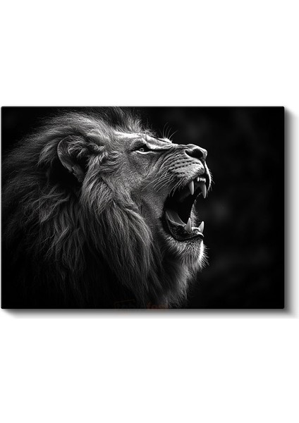 Kükreyen Aslan - Siyah Beyaz Güç Portresi Kanvas Tablo