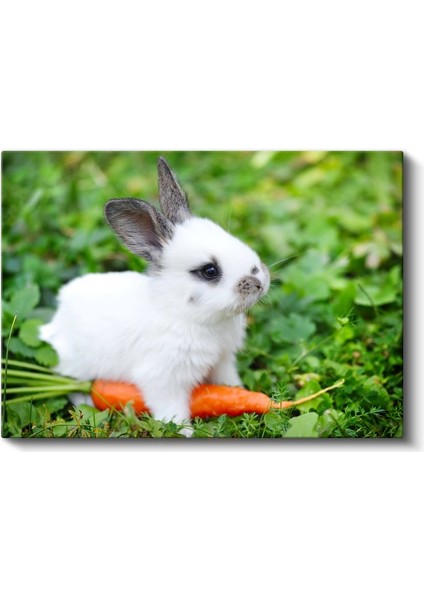 Minik Tavşan - Havuçlu Yemek Vakti Kanvas Tablo fiyatları