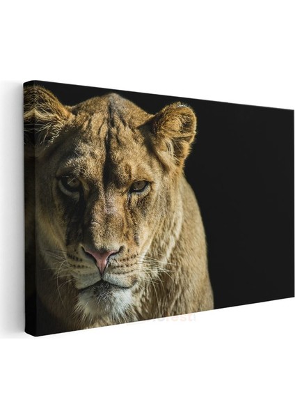 Dişi Aslan - Altın Tüylü Kraliçe Portresi Kanvas Tablo modelleri