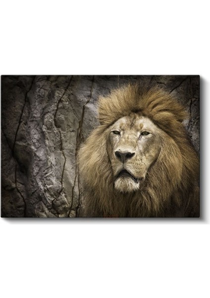 Aslan Portresi - Heybetli Yeleli Kral Kanvas Tablo fiyatları