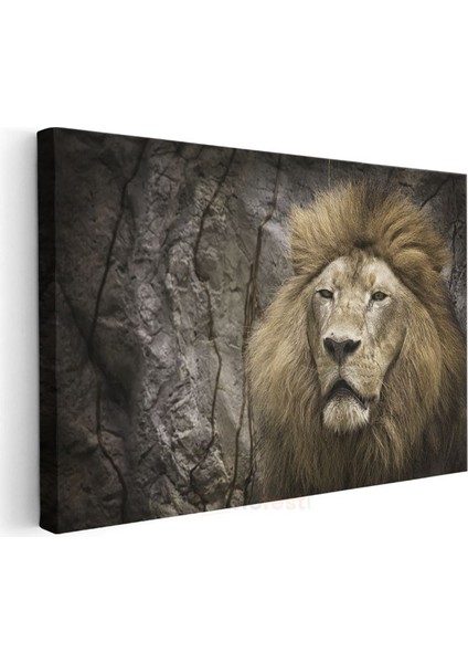 Aslan Portresi - Heybetli Yeleli Kral Kanvas Tablo modelleri