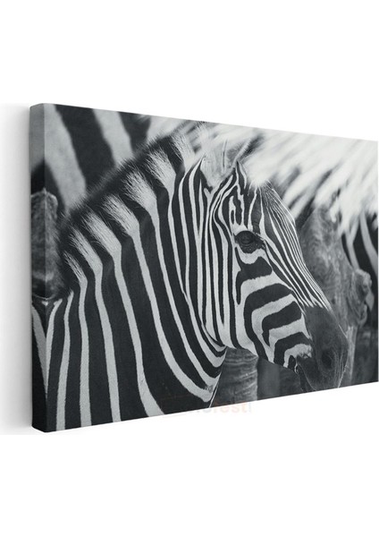Zebra Deseni - Çizgilerin Mükemmel Uyumu Kanvas Tablo