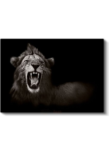 Kükreyen Aslan - Vahşi Doğanın Güçlü Kralı Kanvas Tablo