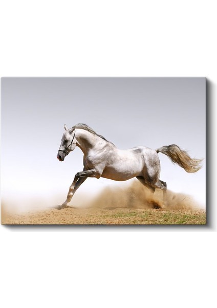 Beyaz At - Kumda Dans Eden Asil Ruh Kanvas Tablo fiyatları