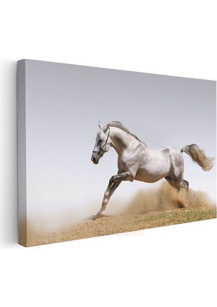Beyaz At - Kumda Dans Eden Asil Ruh Kanvas Tablo modelleri