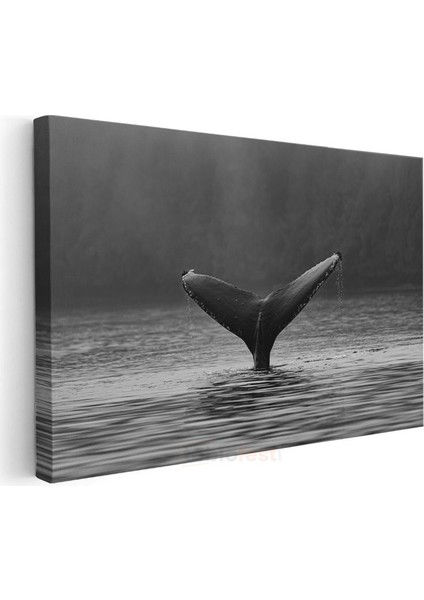 Balina Kuyruğu - Siyah Beyaz Sularda Zarafet Kanvas Tablo modelleri