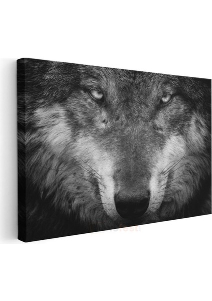Kararlı Kurt - Hipnotize Eden Bakışlı Yırtıcı Portresi Kanvas Tablo modelleri