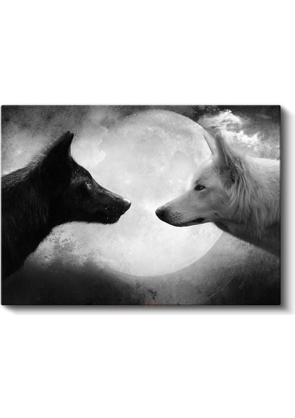 Karşılaşma - Ay Işığında Siyah ve Beyaz Kurt Portresi Kanvas Tablo fiyatları