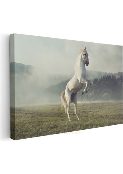 Şaha Kalkan At - Çayırda Özgür Ruh Kanvas Tablo modelleri