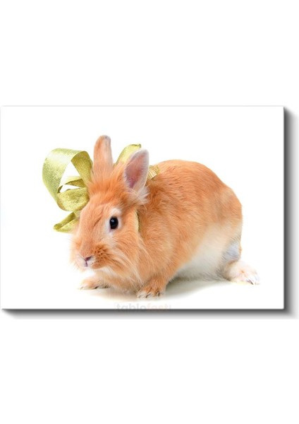 Turuncu Tavşan - Altın Kurdeleli Sevimli Dost Kanvas Tablo fiyatları