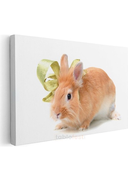 Turuncu Tavşan - Altın Kurdeleli Sevimli Dost Kanvas Tablo modelleri