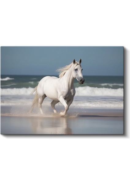 Sahilde Koşan Beyaz At - Özgürlüğün Zarif Dansı Kanvas Tablo fiyatları