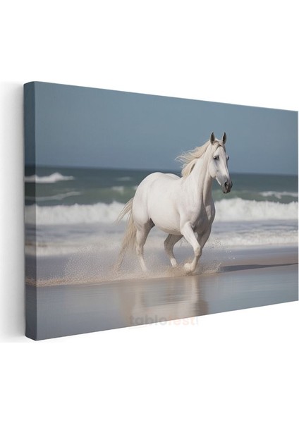 Sahilde Koşan Beyaz At - Özgürlüğün Zarif Dansı Kanvas Tablo modelleri