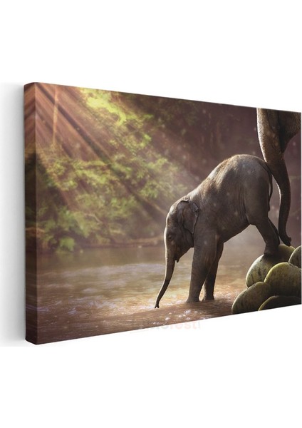 Yavru Fil - Nehirde İlk Adımlarını Atan Sevimli Bebek Kanvas Tablo modelleri