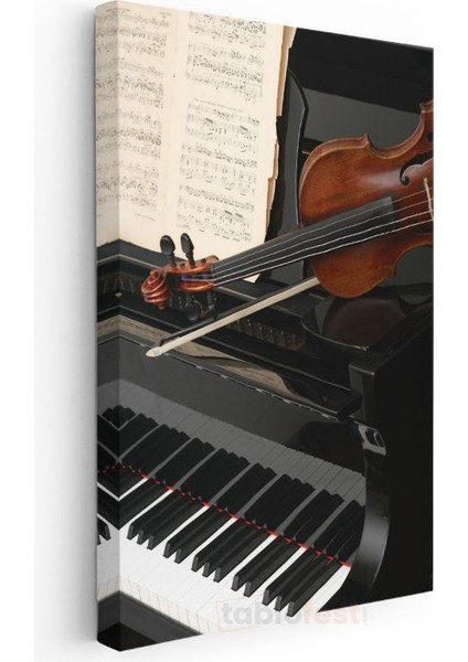 Klasik Müzik Enstrümanları - Piyano ve Keman Uyumu Kanvas Tablo