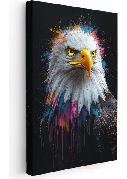 Renkli Kartal - Canlı Boya Sıçramalı Yırtıcı Kuş Kanvas Tablo modelleri