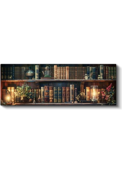 Klasik Kütüphane - Işıklı Kitap Rafları ve Bitki Detayları Kanvas Tablo