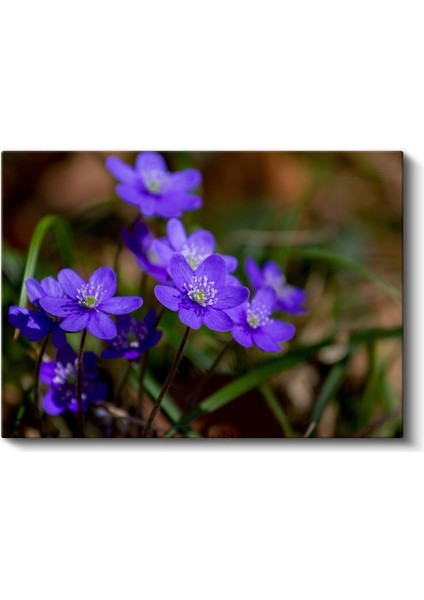 Mavi Orman Çiçekleri - Yeşil Yapraklı Bahar Kanvas Tablo fiyatları