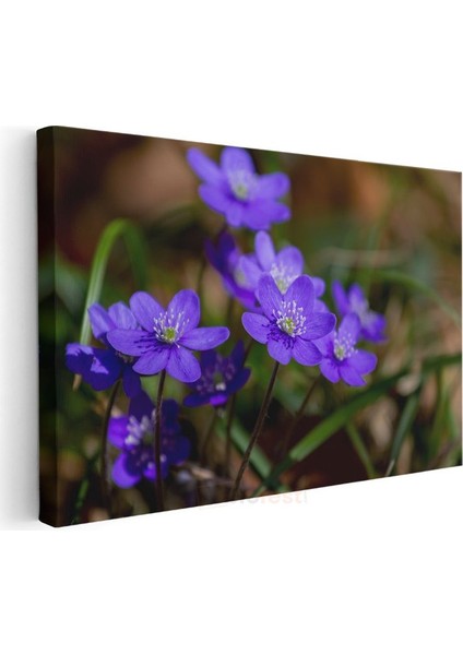 Mavi Orman Çiçekleri - Yeşil Yapraklı Bahar Kanvas Tablo modelleri