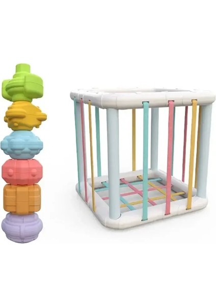 Montessori Bebek Oyuncakları 0-12 Ay Duyusal Gelişim Öğrenme Eğitim Oyuncakları Renkli Bloklar Bebekler Için Sıralama Oyunu Infantcolor: Cube (Yurt Dışından)