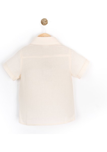 Düğmeli Kısa Kollu Yumuşak Dokulu Erkek Bebek Gömlek Yazlık Şık Erkek Bebek Gömlek fiyatları