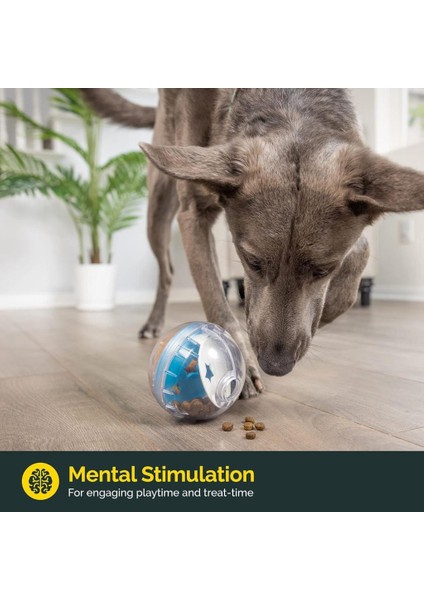 Iq Treat Ball Kedi ve Köpek Ödül Topu 7.6 cm modelleri