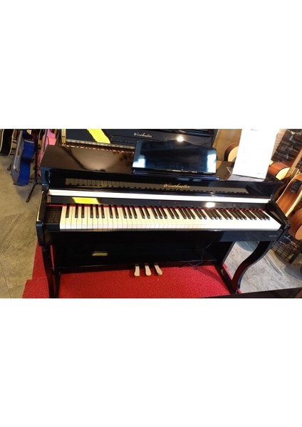 Dijital Piyano WDP4952 (Ingiliz)