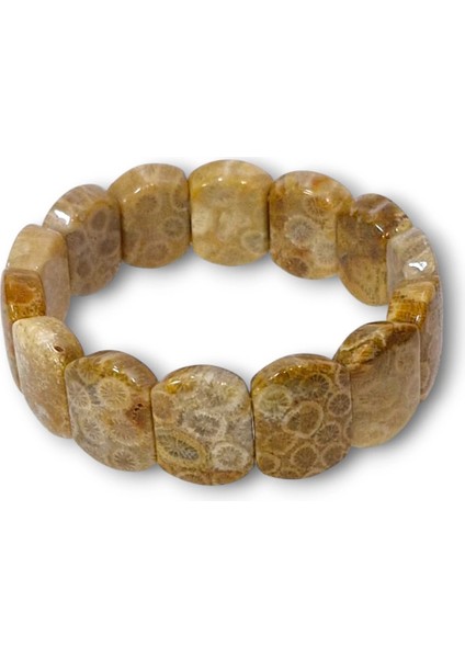 Kaliteli Fosil Mercan Bileklik Doğal Desenli 107-3 fiyatları