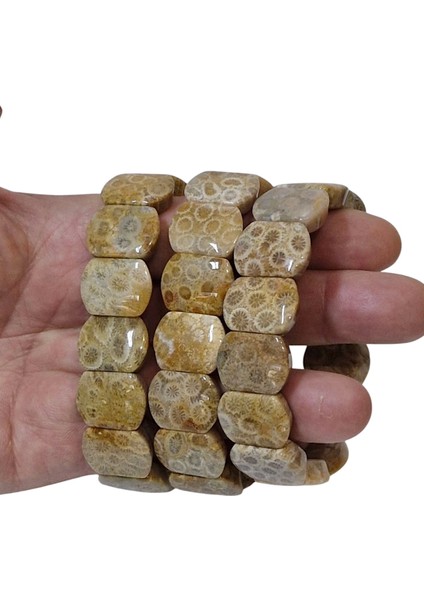 Kaliteli Fosil Mercan Bileklik Doğal Desenli 107-3 fırsatları