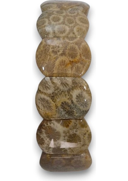 Kaliteli Fosil Mercan Bileklik Doğal Desenli 107-3 indirimleri