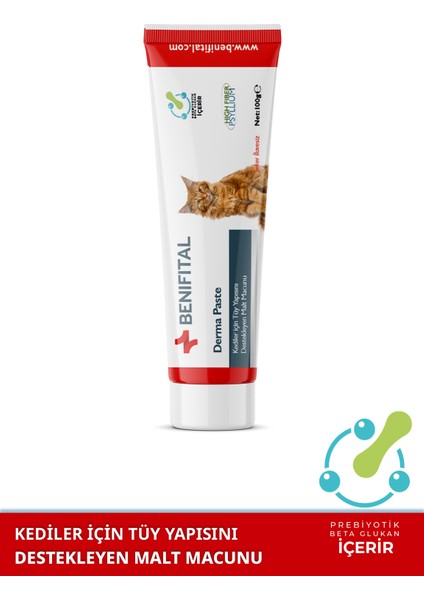 Derma Paste 100 gr Kediler İçin Tüy Yapısı Destekleyici Premium Malt Paste Macun