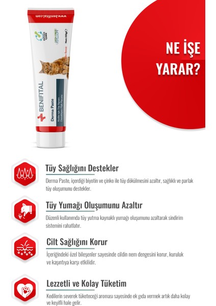 Derma Paste 100 gr Kediler İçin Tüy Yapısı Destekleyici Premium Malt Paste Macun modelleri