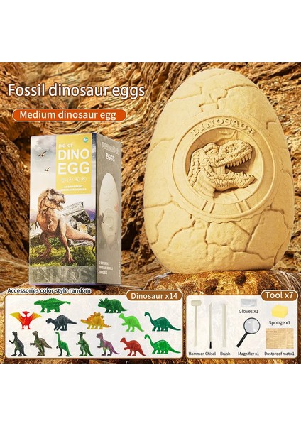 lar Arkeoloji Dig Dinosaur Yumurtası Oyuncak Dinozor Fosiller ve Kız Diy El Yapımı Kör Kutu Kazma Kazma Hazine Puzzlecolor Orta Dinozor Yumurtası (Yurt Dışından)