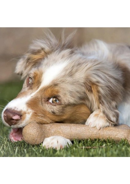 Barkbone Dinosaur Bacon Aromalı Bitmeyen Köpek Çiğneme Kemiği Büyük Boy 25 cm modelleri