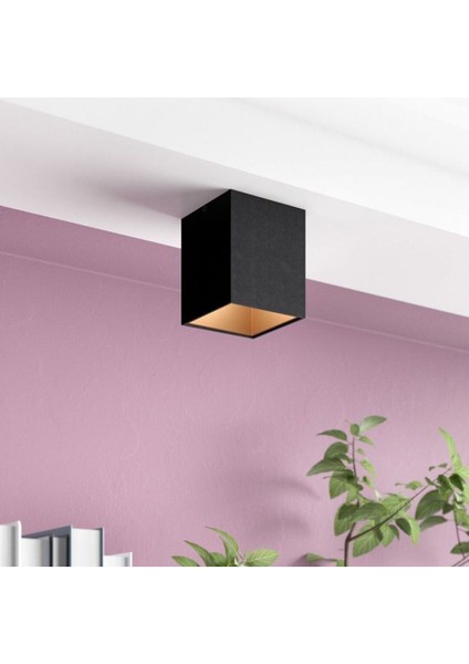 7 Watt Günışığı GU10 Duylu Dekoratif Alüminyum Kasa Şık Tavan Armatürü, Günışığı LED Spot Lamba