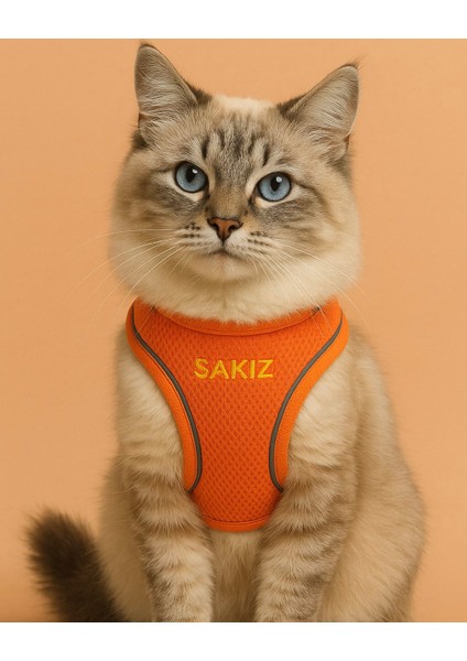 Kişiye Özel Kedi Gezdirme Tasması Airmesh Isimli Kedi Göğüs Tasması Esnek Kedi Tasması