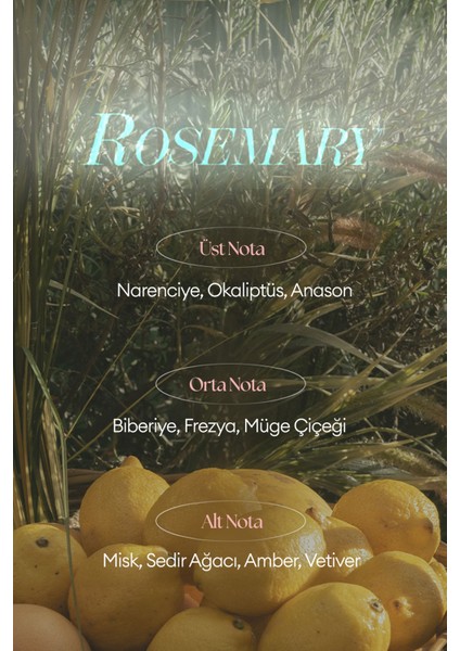 Shea Yağı İçeren Nemlendirici El Kremi A'Pıeu Juicy Pang Perfume Hand Cream (Rosemary) modelleri