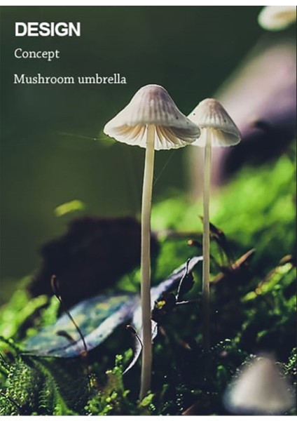 Modern siyah LED aplik, enerji tasarruflu, şık ve dayanıklı aydınlatma çözümleri modelleri