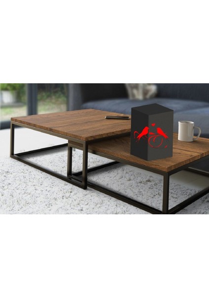 Modern siyah metal aydınlatma, elektrostatik boyalı, şık ve dayanıklı tasarım modelleri