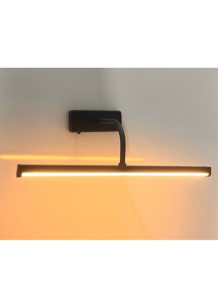 Siyah Kuğu Günışığı Ledli Tablo Aplik, Metal, Pilli, E14, Dekoratif ve Şık Tasarım