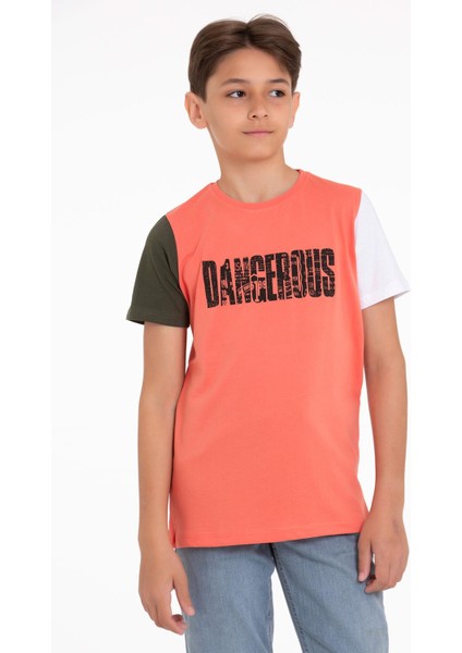 Kısa Kol Taba Renk Erkek Çocuk Tshirt fiyatları